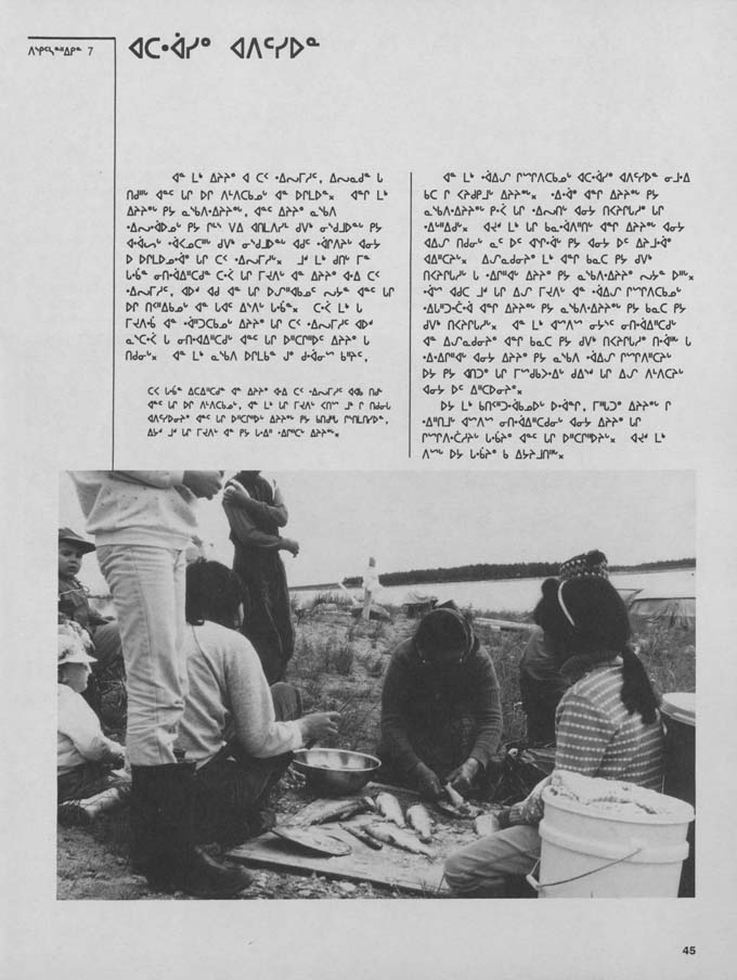 CNC REPORT 1988_CREE - page 45