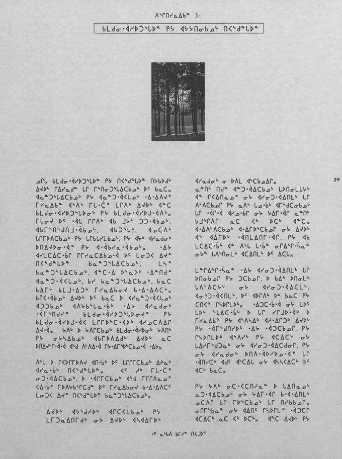 CNC REPORT 1991_CREE - page 29
