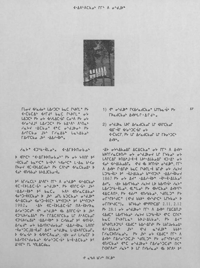 CNC REPORT 1991_CREE - page 57