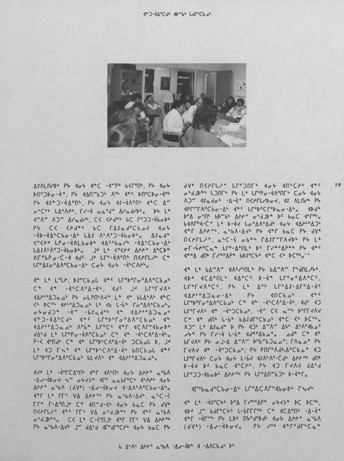 CNC REPORT 1991_Naskapi - page 19