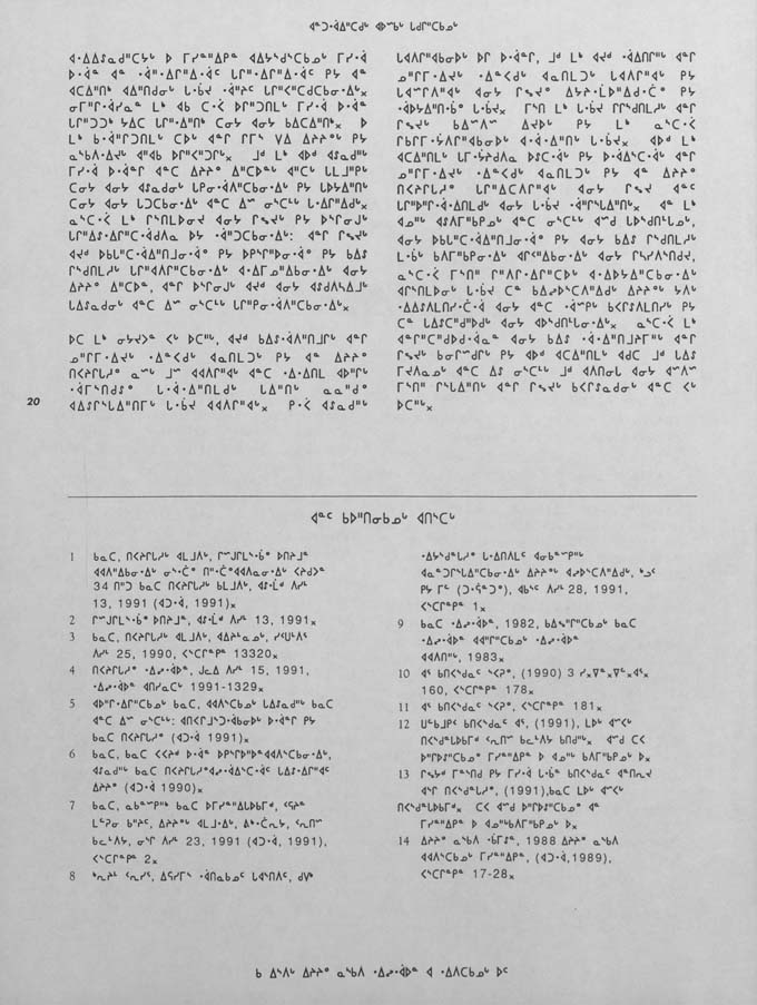 CNC REPORT 1991_Naskapi - page 20