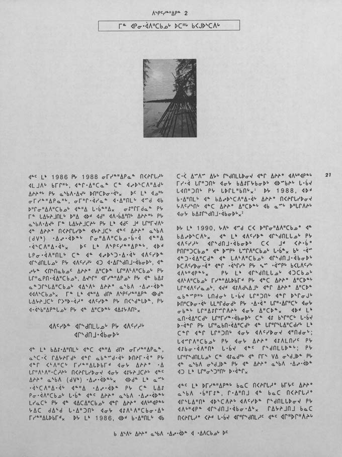 CNC REPORT 1991_Naskapi - page 21