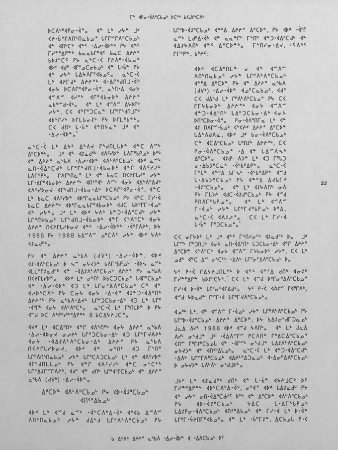 CNC REPORT 1991_Naskapi - page 23