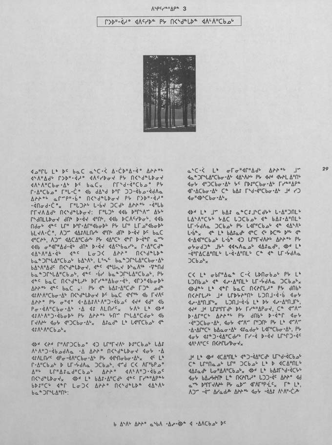 CNC REPORT 1991_Naskapi - page 29