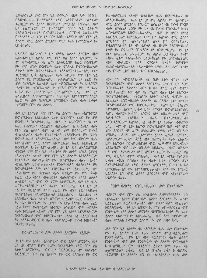 CNC REPORT 1991_Naskapi - page 31