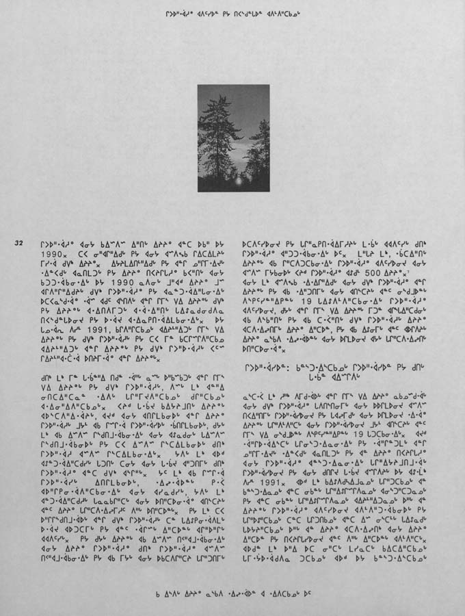 CNC REPORT 1991_Naskapi - page 32