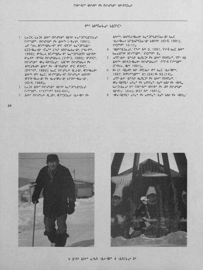 CNC REPORT 1991_Naskapi - page 34