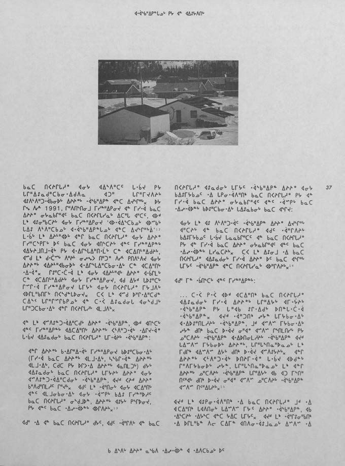 CNC REPORT 1991_Naskapi - page 37