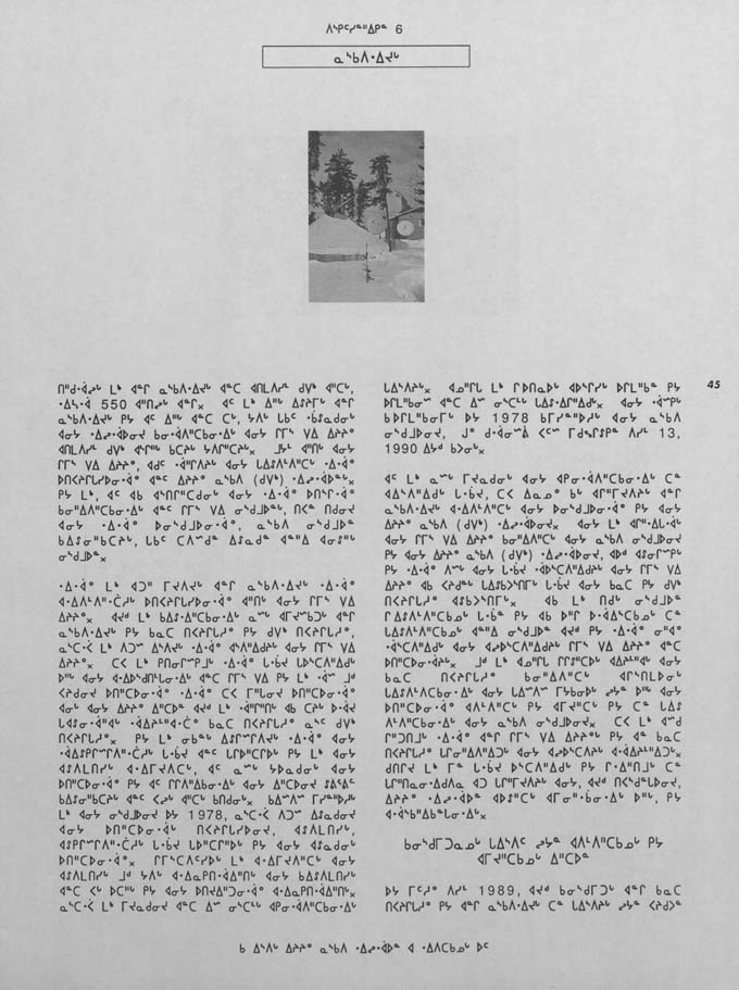 CNC REPORT 1991_Naskapi - page 45