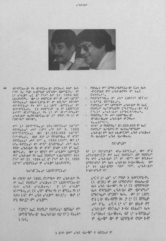 CNC REPORT 1991_Naskapi - page 46