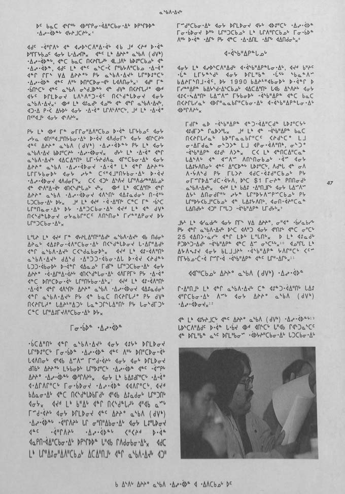 CNC REPORT 1991_Naskapi - page 47