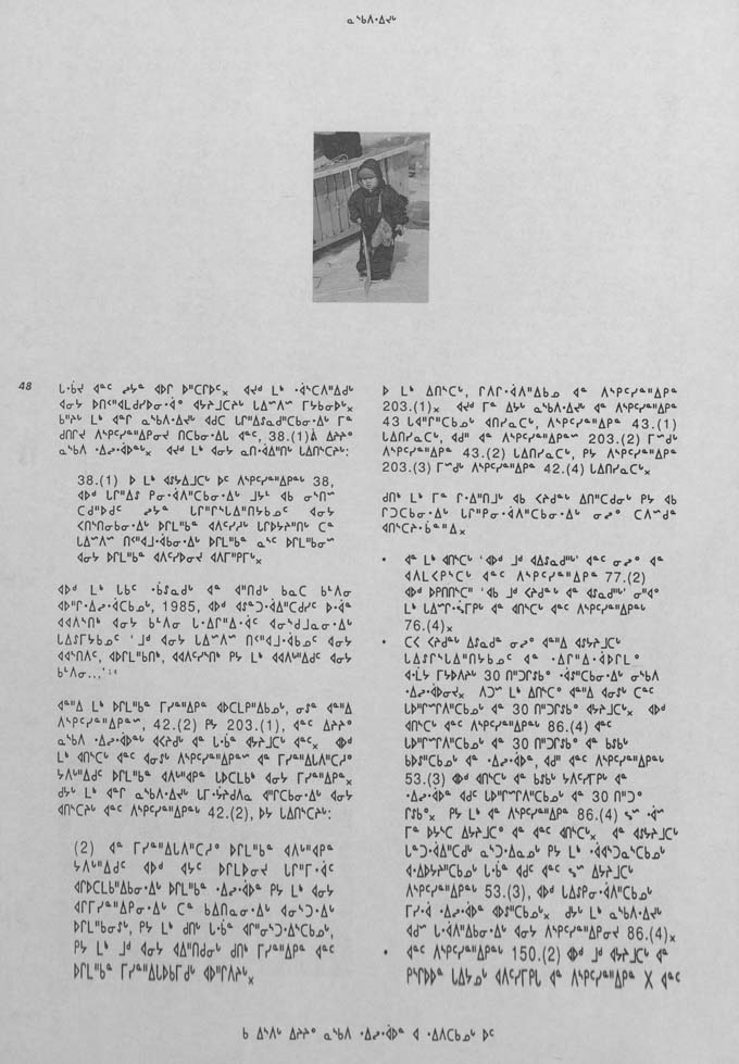 CNC REPORT 1991_Naskapi - page 48