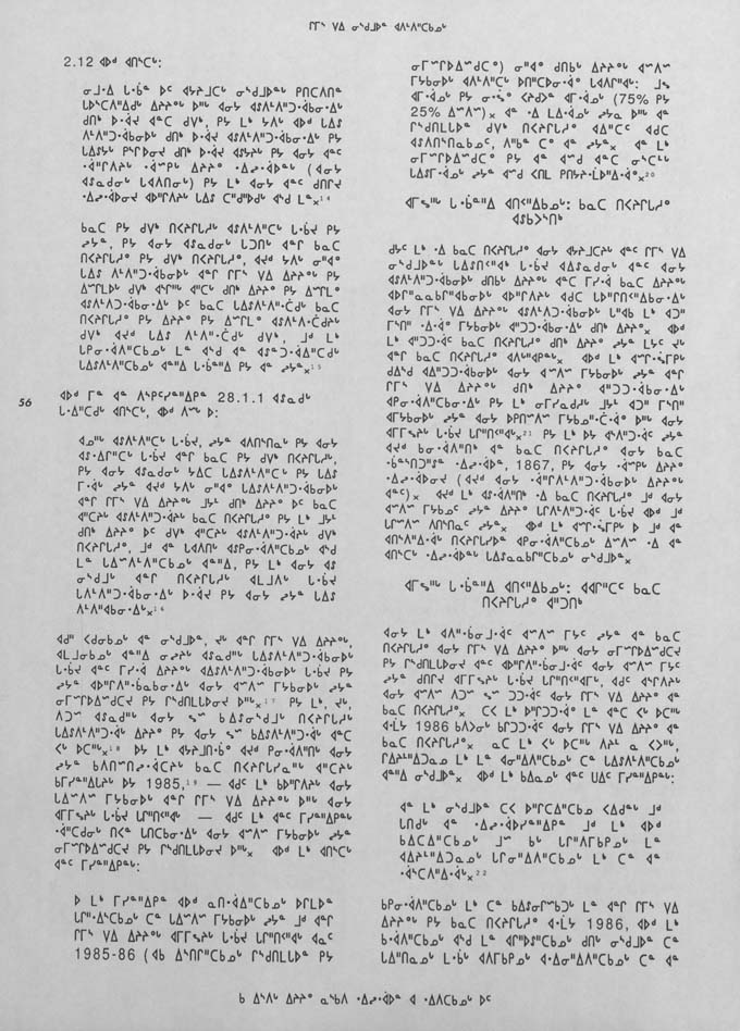CNC REPORT 1991_Naskapi - page 56