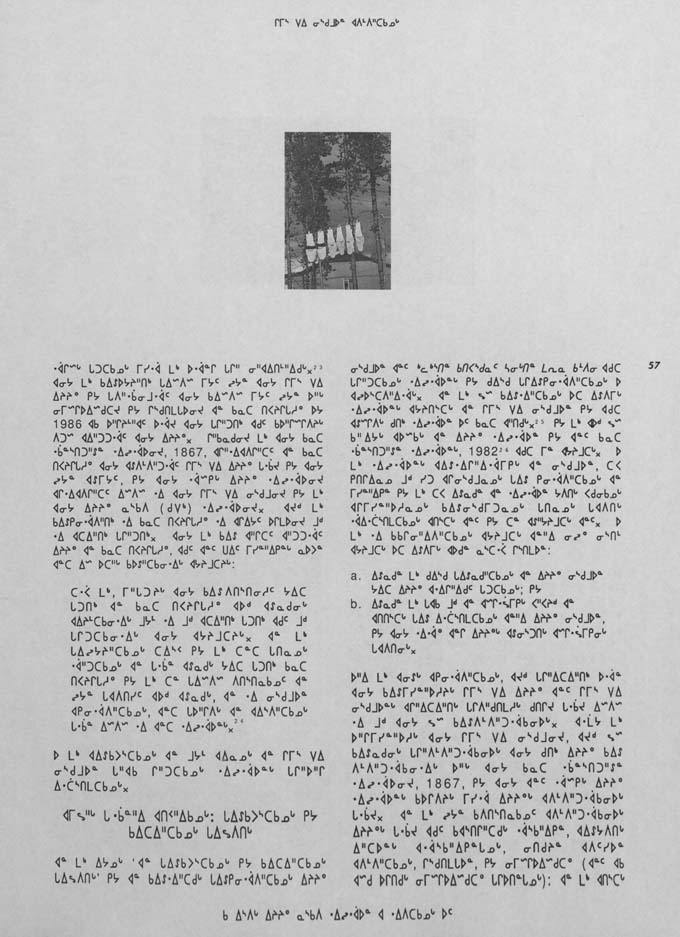 CNC REPORT 1991_Naskapi - page 57