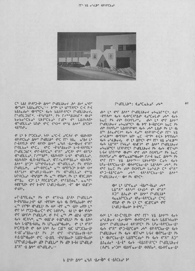 CNC REPORT 1991_Naskapi - page 61