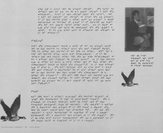 CNC REPORT 1994_CREE - page 16