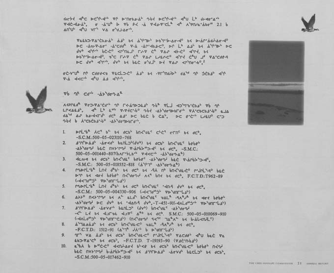 CNC REPORT 1994_CREE - page 21