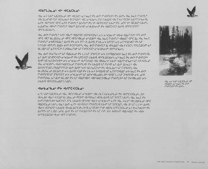 CNC REPORT 1994_Naskapi - page 9