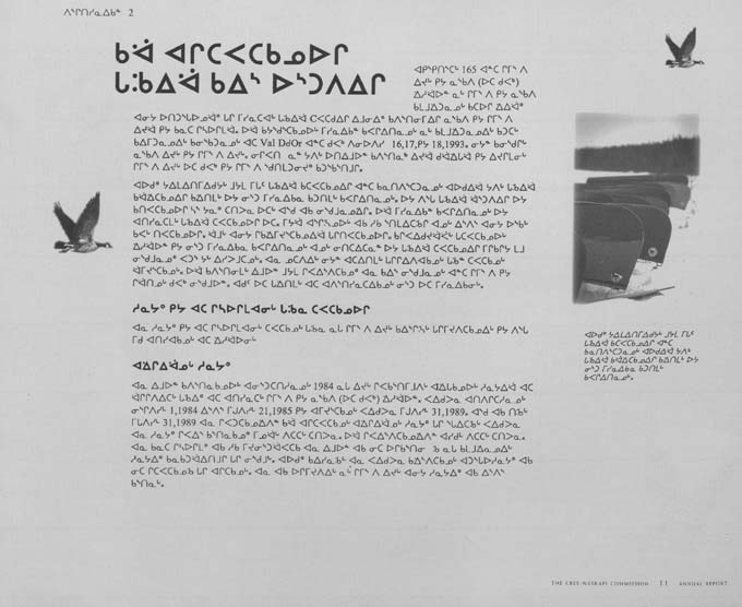 CNC REPORT 1994_Naskapi - page 11