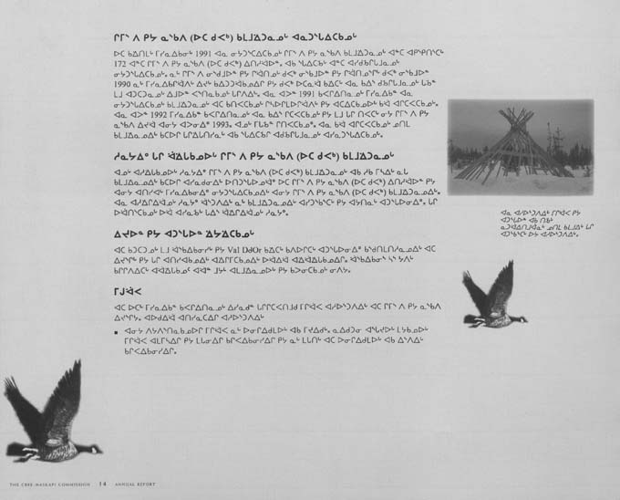 CNC REPORT 1994_Naskapi - page 14