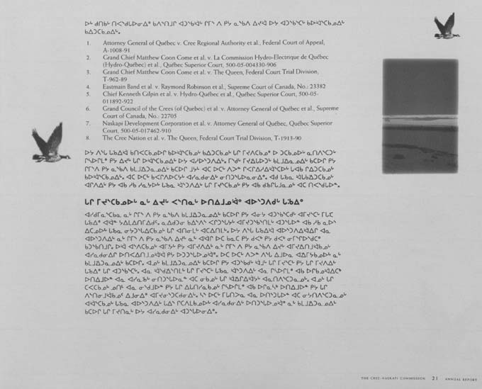 CNC REPORT 1994_Naskapi - page 21