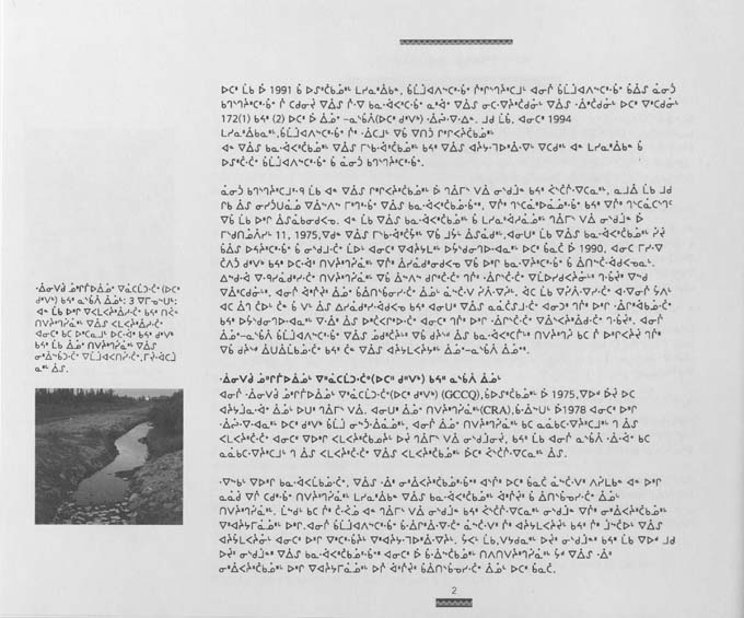 CNC REPORT 1996_CREE - page 2