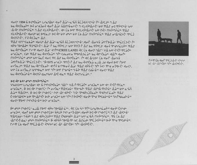 CNC REPORT 1996_CREE - page 3