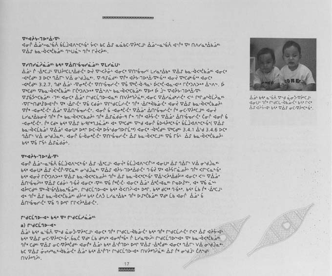 CNC REPORT 1996_CREE - page 17