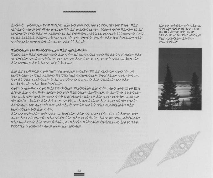 CNC REPORT 1996_CREE - page 23