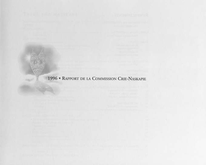 CNC REPORT 1996_French - page iii