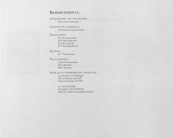 CNC REPORT 1996_French - page iv