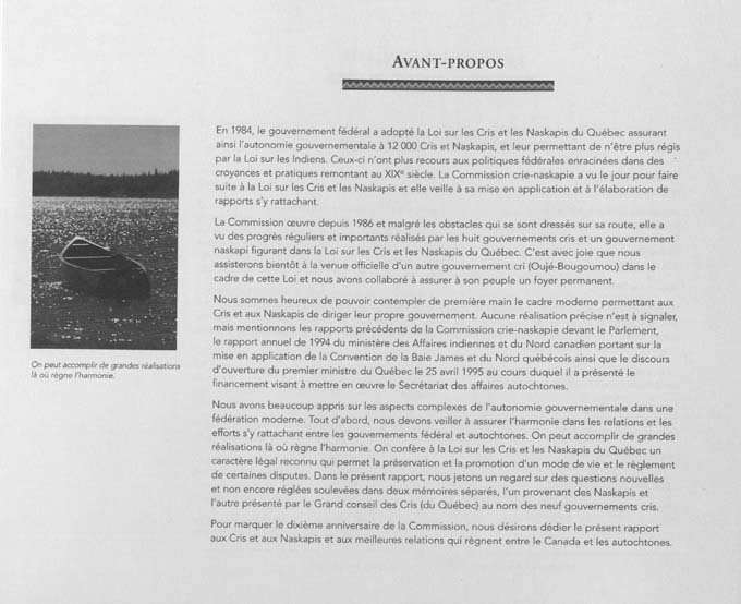 CNC REPORT 1996_French - page viii
