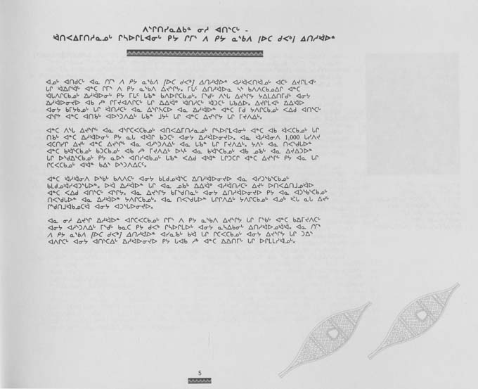 CNC REPORT 1996_Naskapi - page 5