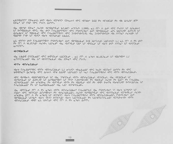 CNC REPORT 1996_Naskapi - page 13