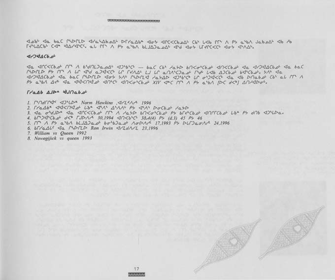 CNC REPORT 1996_Naskapi - page 17