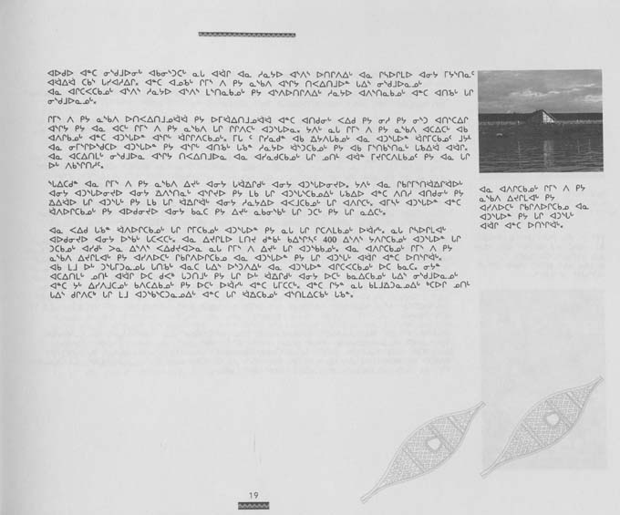 CNC REPORT 1996_Naskapi - page 19