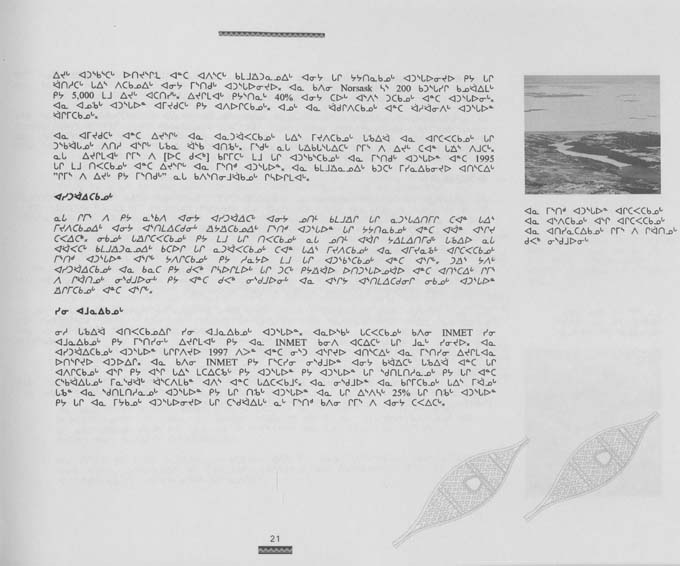 CNC REPORT 1996_Naskapi - page 21