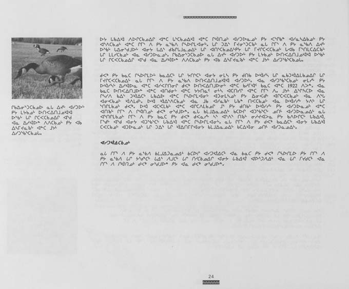 CNC REPORT 1996_Naskapi - page 24