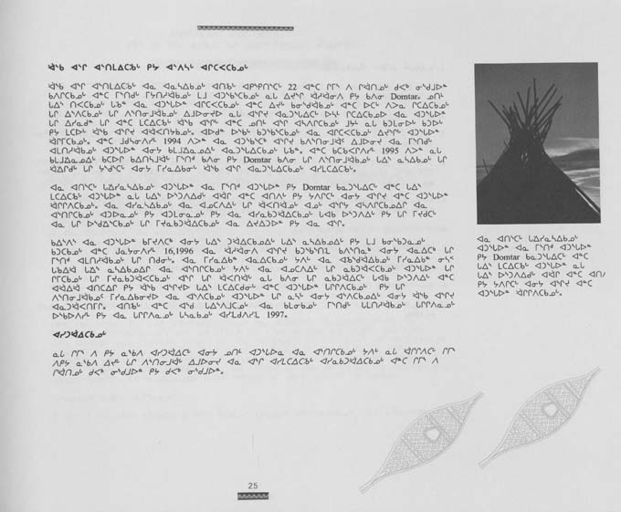 CNC REPORT 1996_Naskapi - page 25