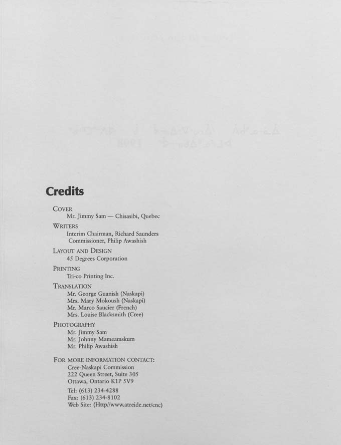 CNC REPORT 1998_CREE - page iv