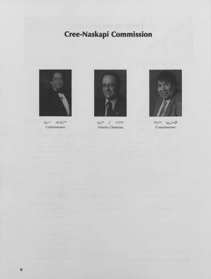 CNC REPORT 1998_CREE - page vi