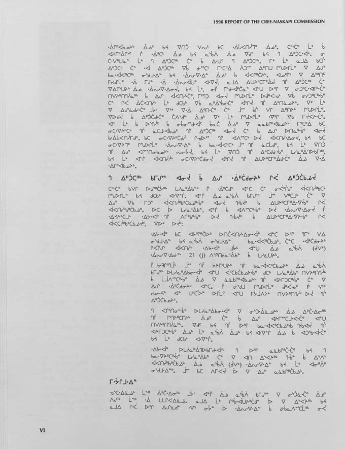 CNC REPORT 1998_CREE - page x