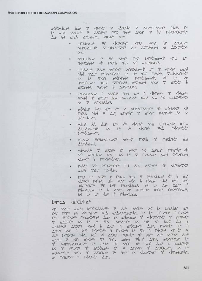 CNC REPORT 1998_CREE - page xi