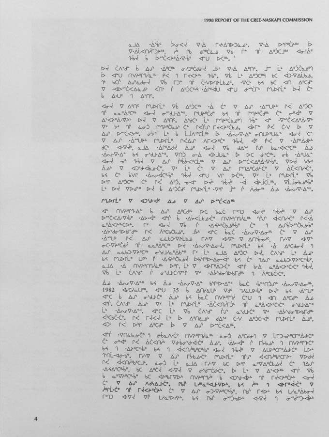 CNC REPORT 1998_CREE - page 4