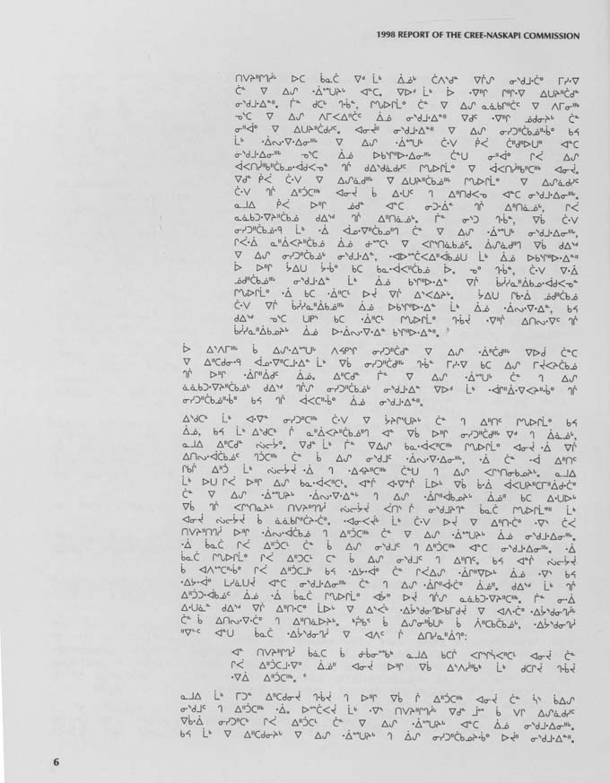 CNC REPORT 1998_CREE - page 6