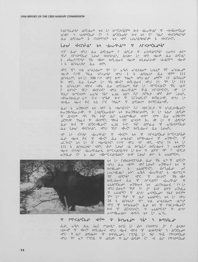 CNC REPORT 1998_CREE - page 14