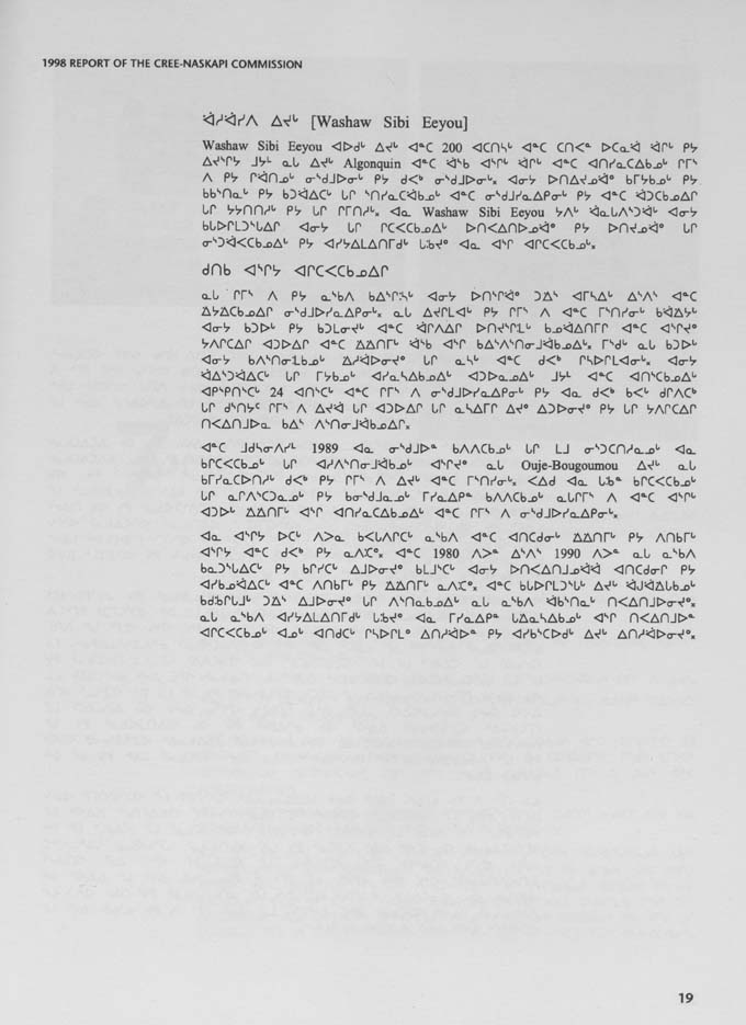CNC REPORT 1998_CREE - page 19