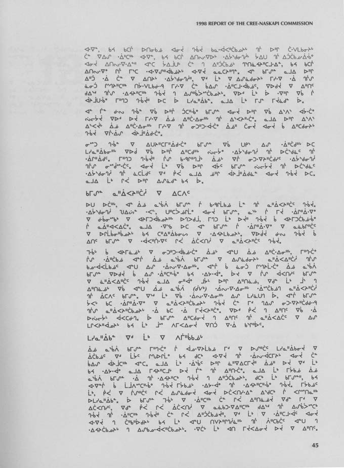 CNC REPORT 1998_CREE - page 45