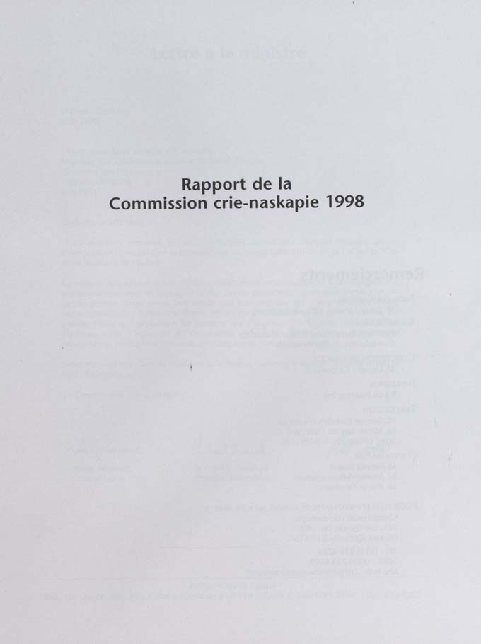 CNC REPORT 1998_French - page iii