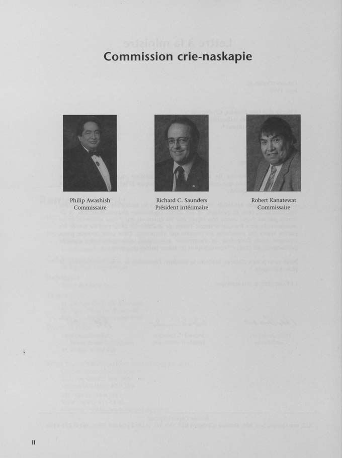 CNC REPORT 1998_French - page vi
